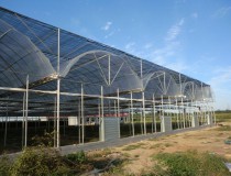 影響溫室大棚間距的六個(gè)因素