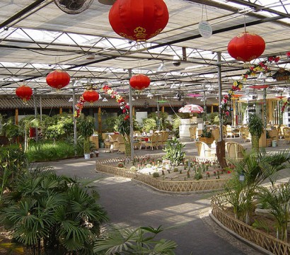生態(tài)餐廳