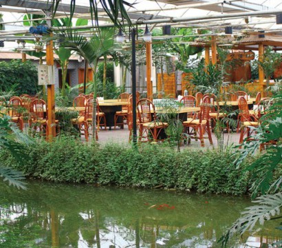 生態(tài)餐廳